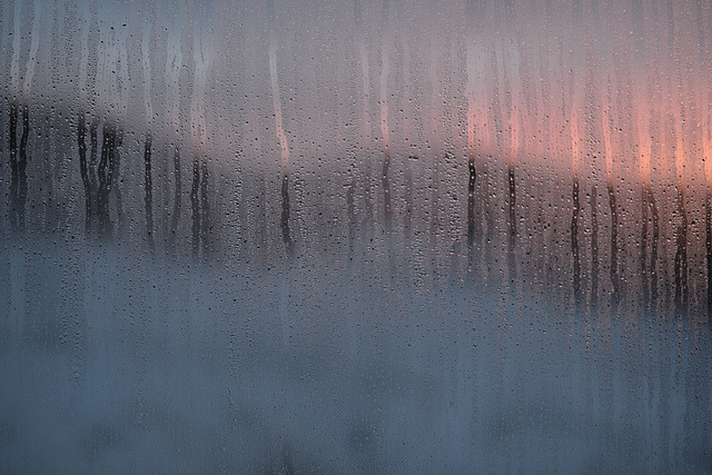 Archillect ID 328647