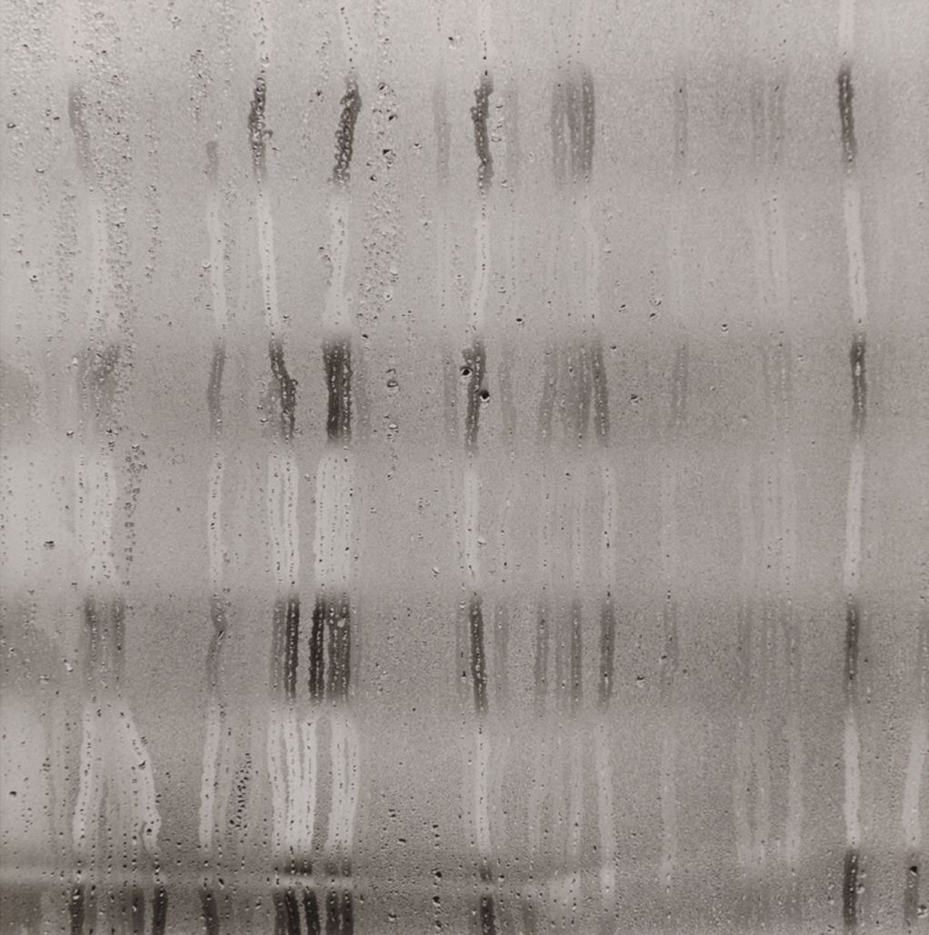 Archillect ID 328920