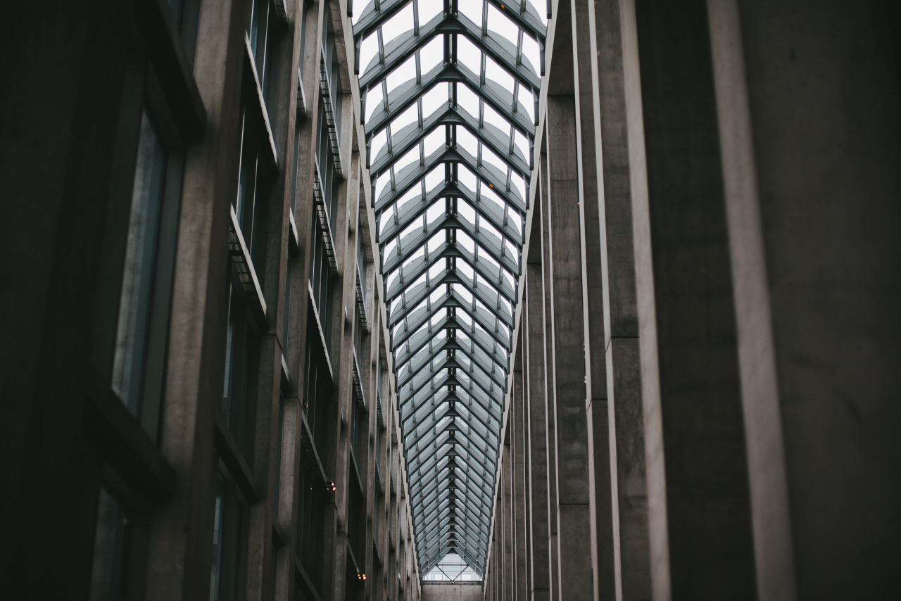 Archillect ID 329685