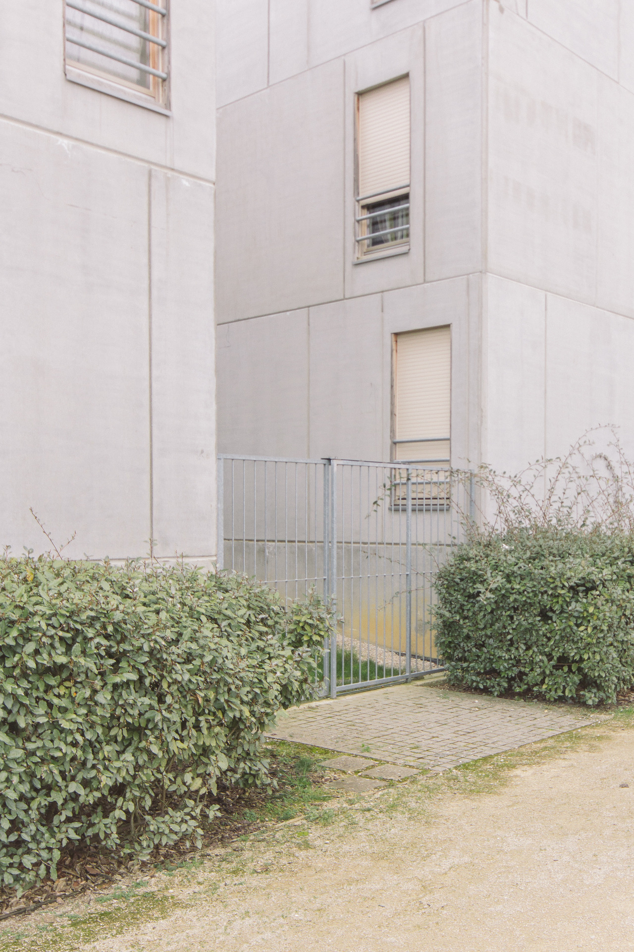 Archillect ID 329706