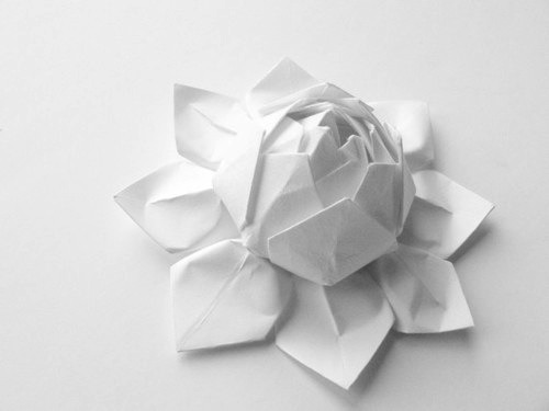 Archillect ID 329843