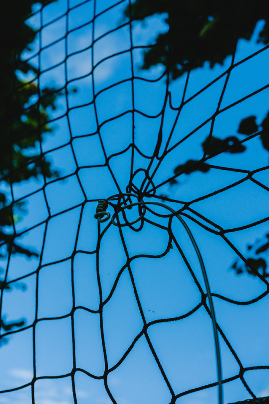 Archillect ID 330073