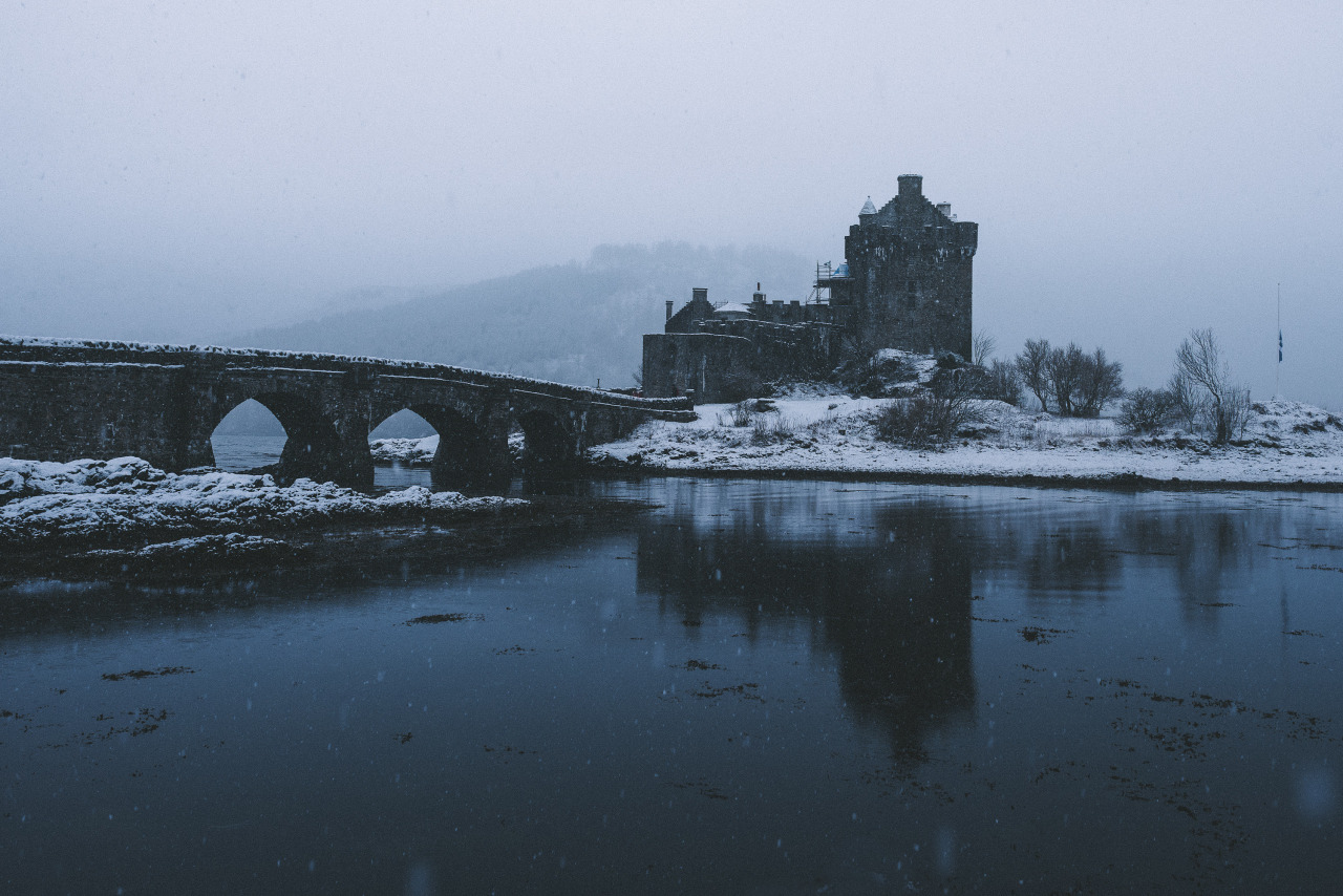 Archillect ID 330680