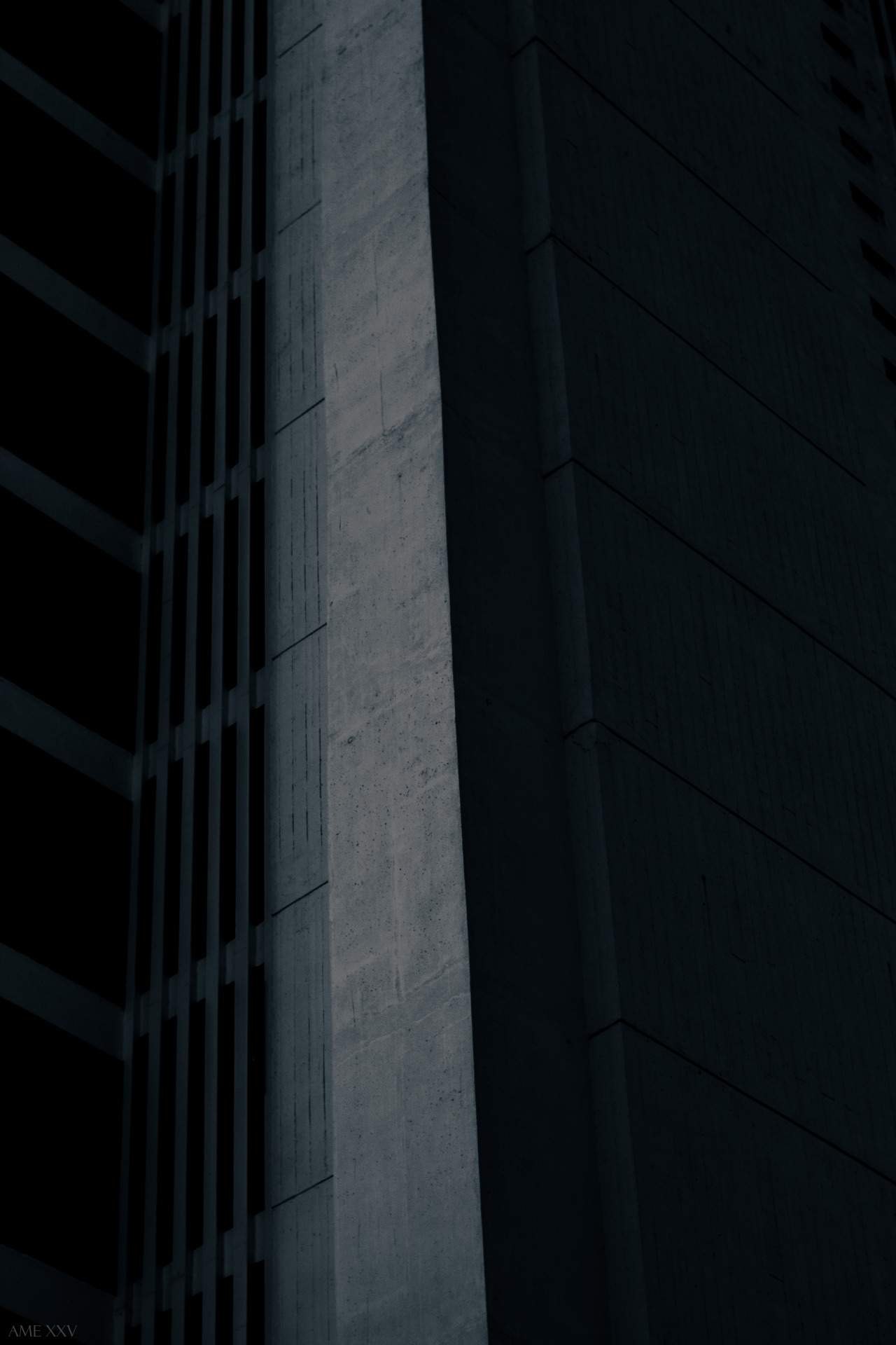 Archillect ID 330709