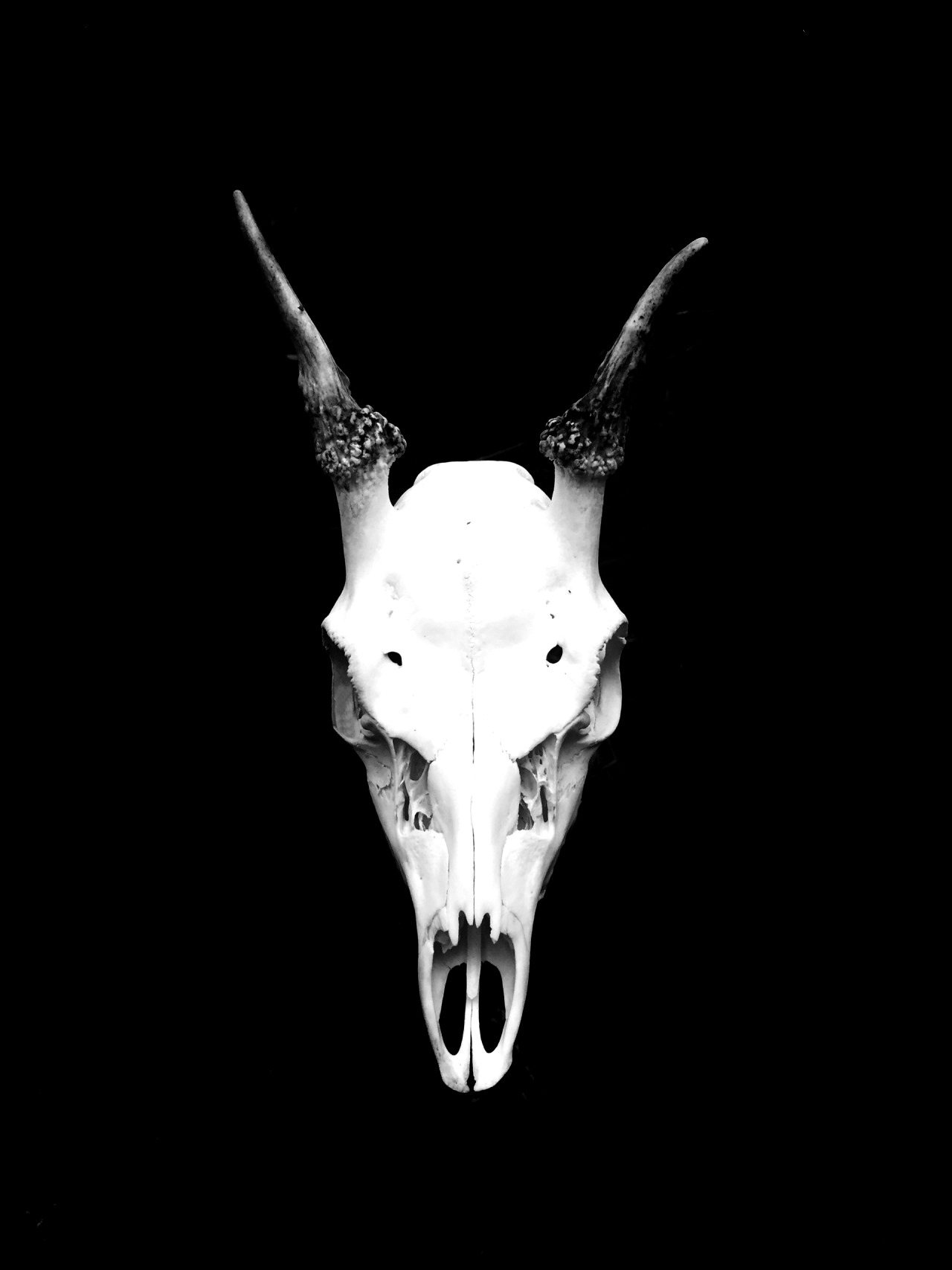 Archillect ID 330710