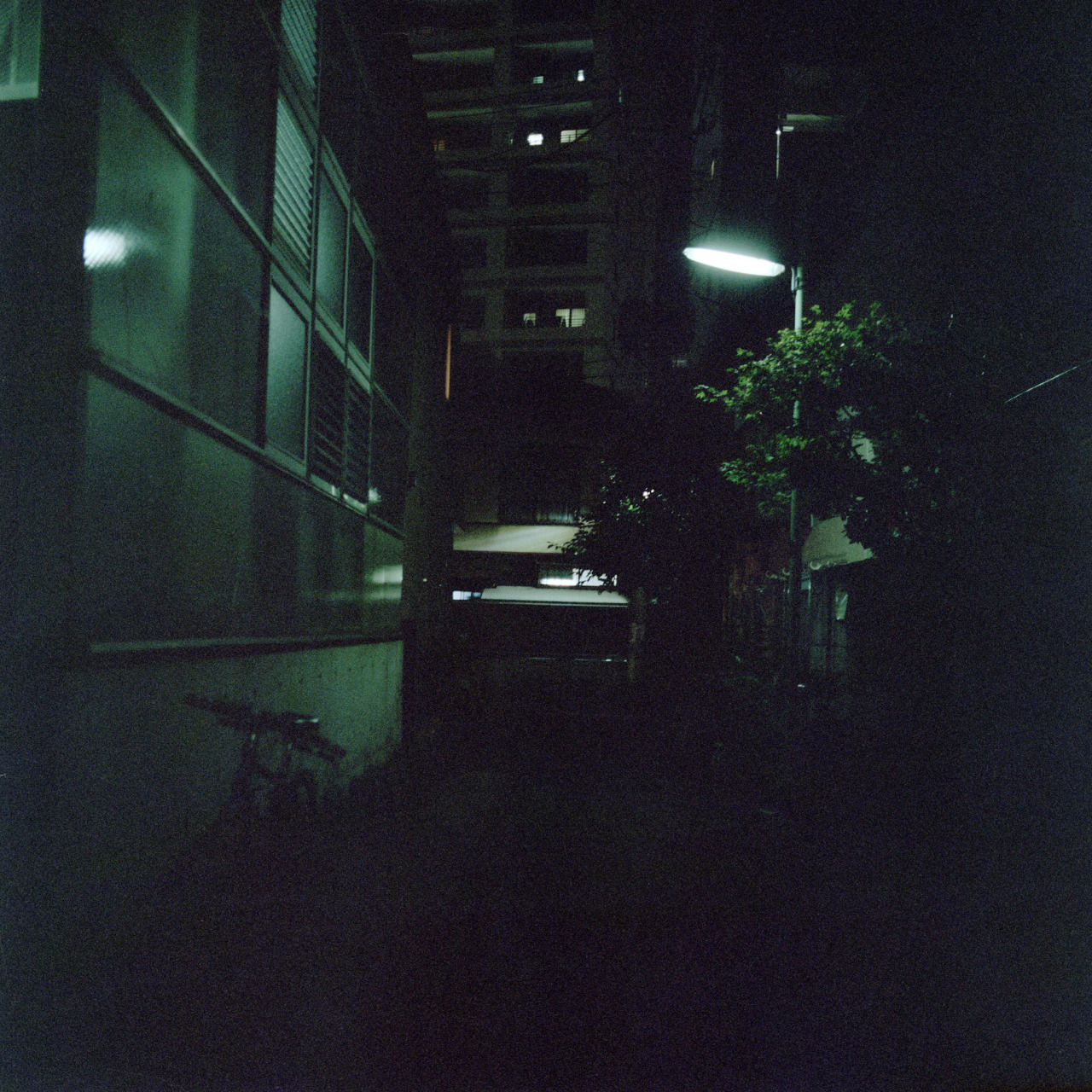 Archillect ID 331183