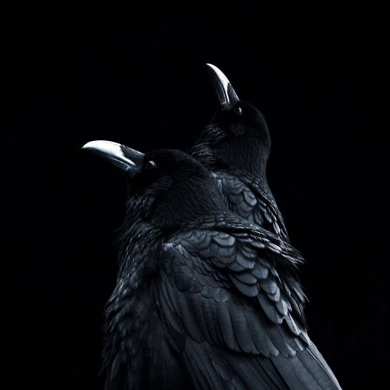 Archillect ID 331247