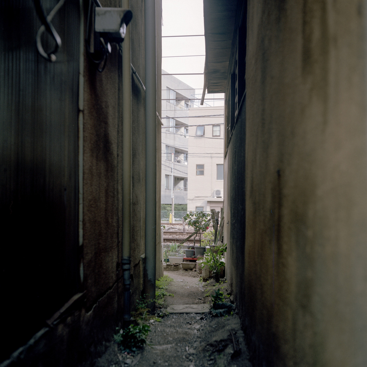 Archillect ID 331585