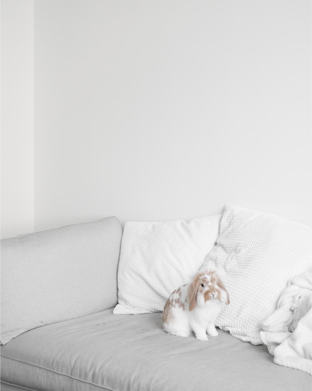 Archillect ID 331656