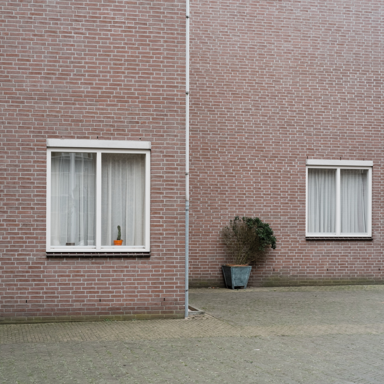 Archillect ID 332233
