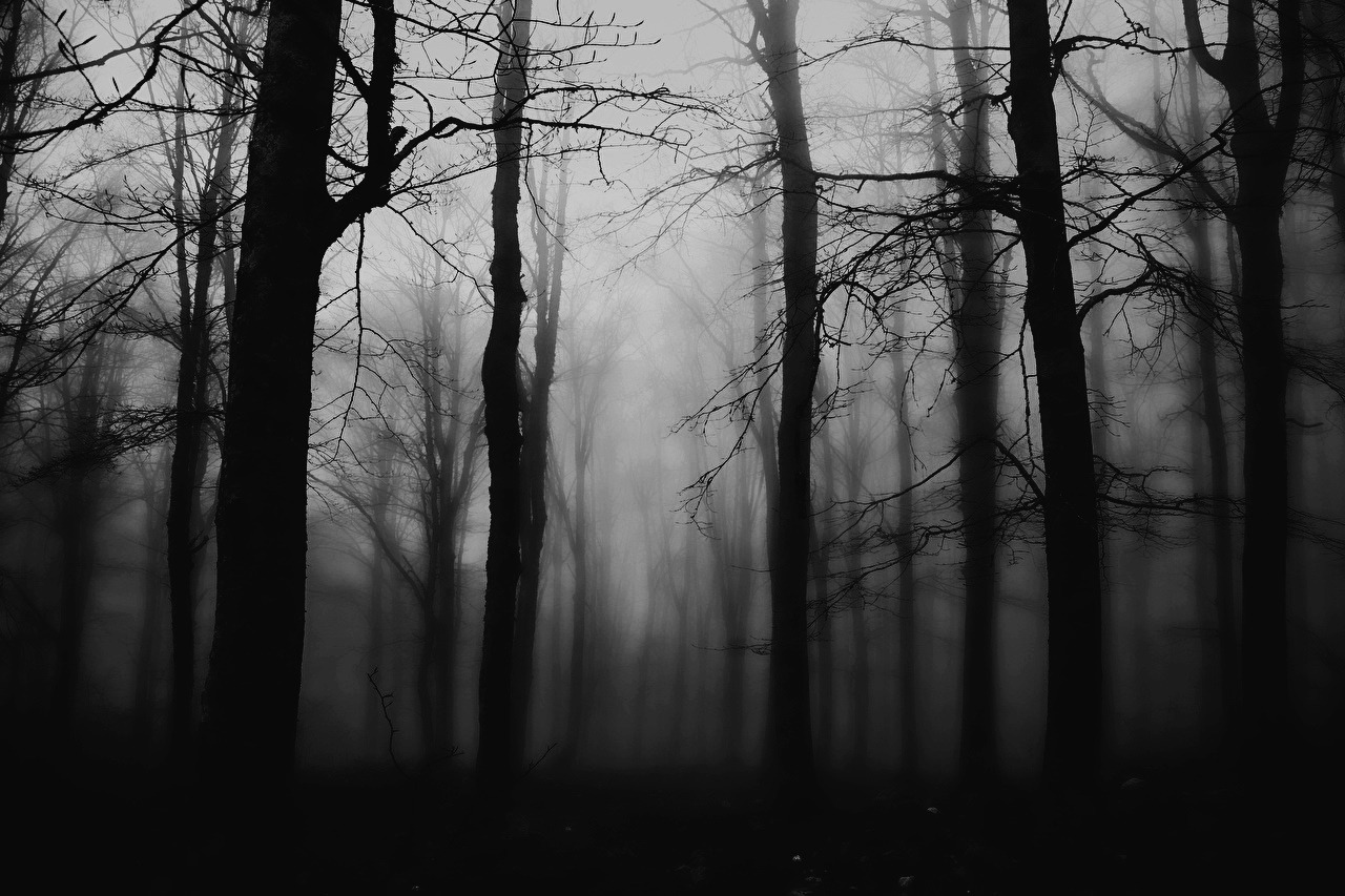 Archillect ID 332335