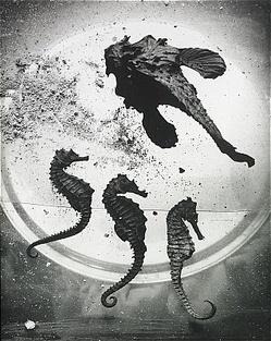 Archillect ID 332744