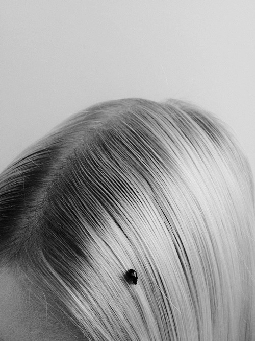 Archillect ID 333027