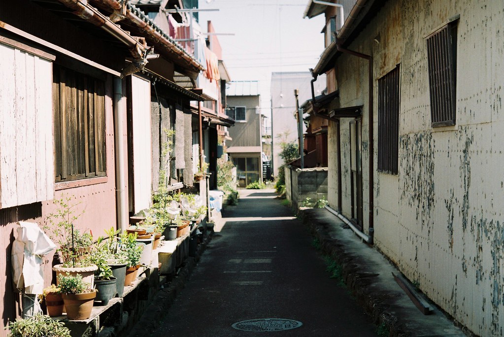 Archillect ID 333128