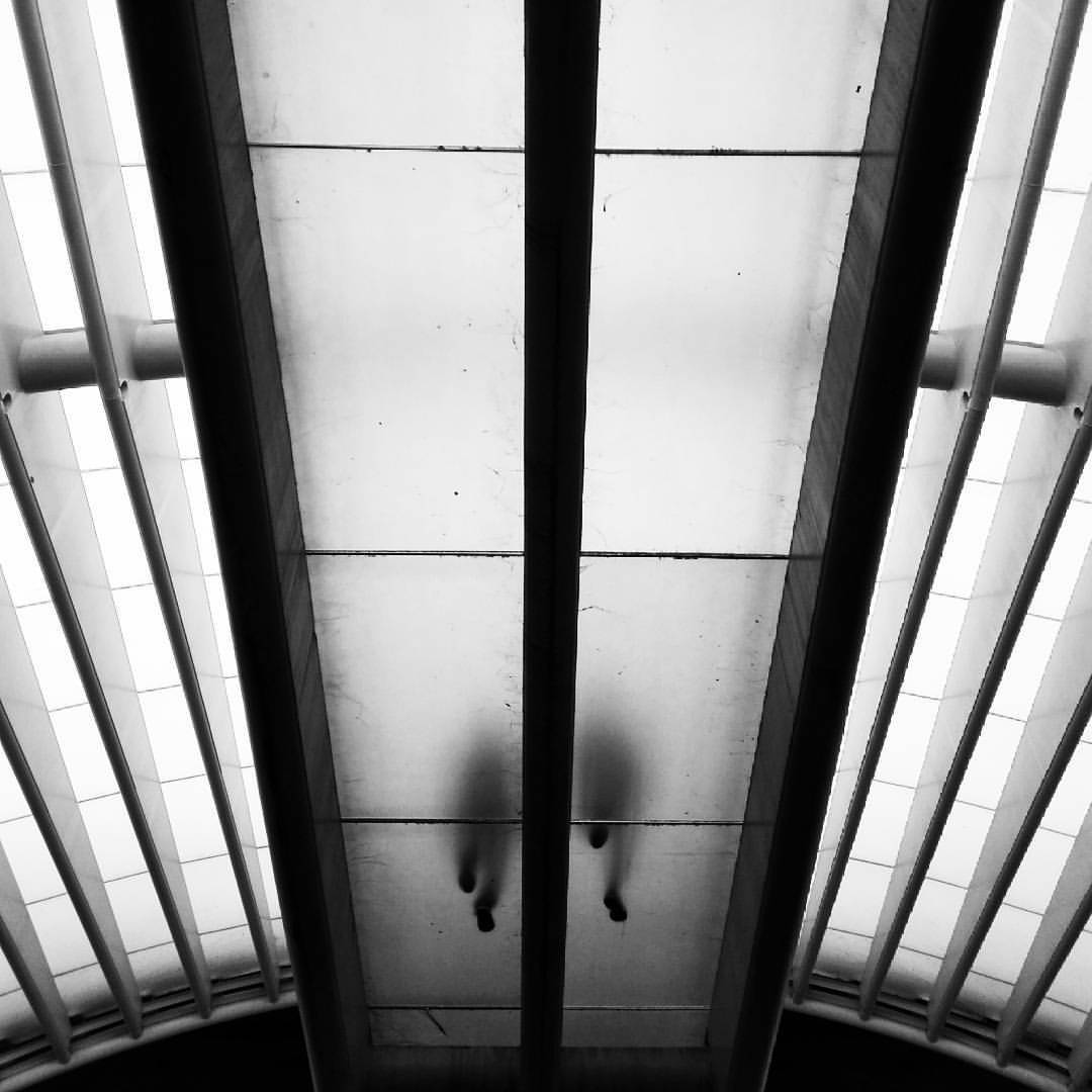 Archillect ID 333795