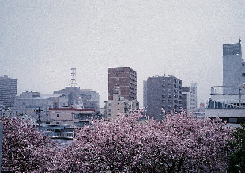 Archillect ID 333806