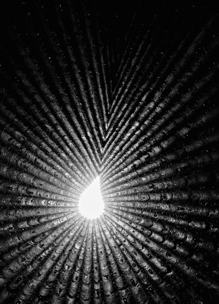 Archillect ID 334011