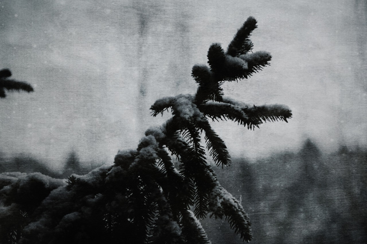Archillect ID 334096
