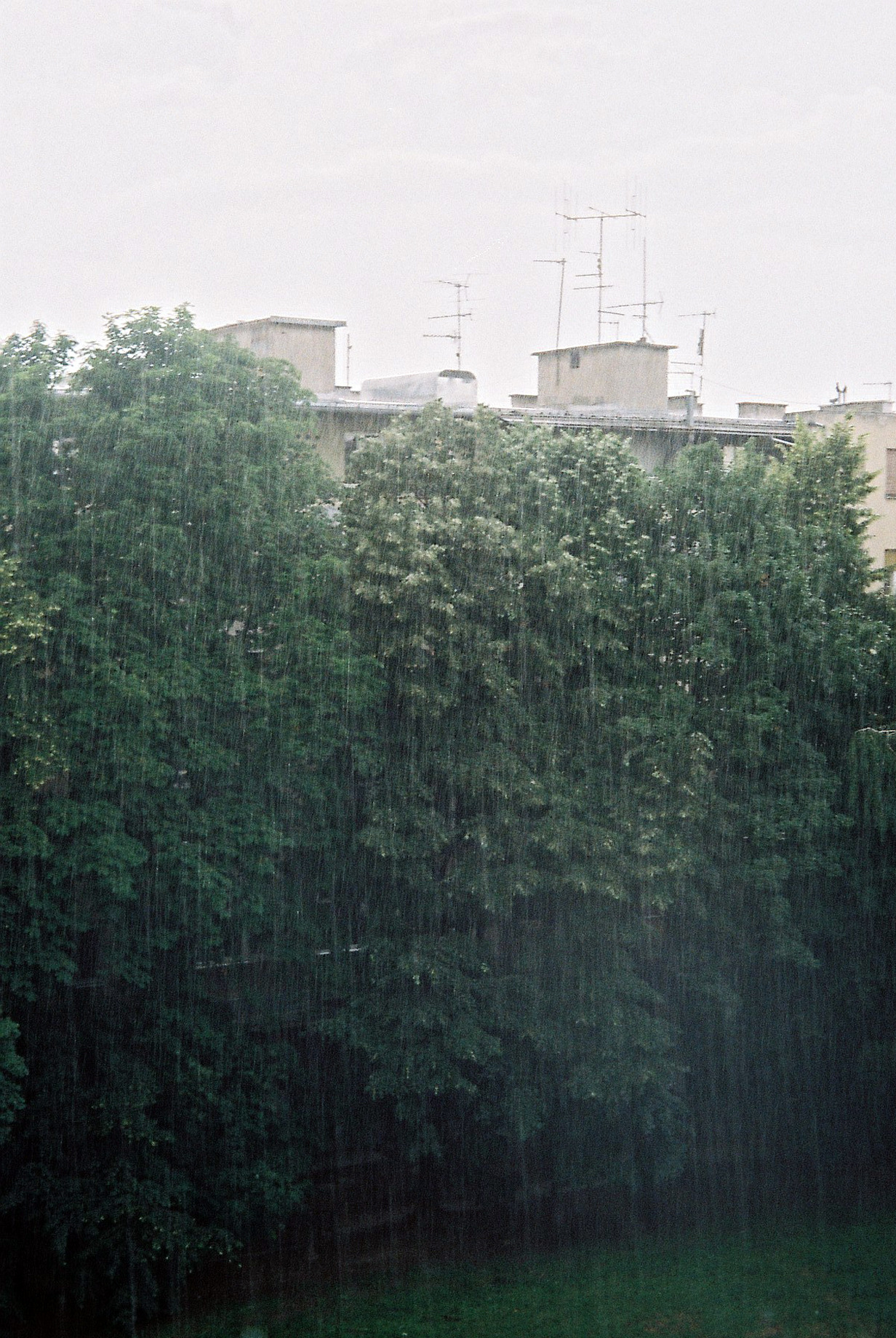 Archillect ID 334367