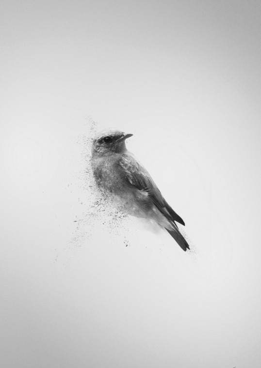 Archillect ID 334857