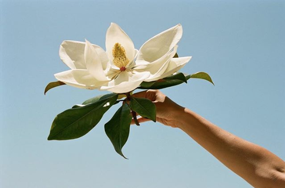 Archillect ID 335003