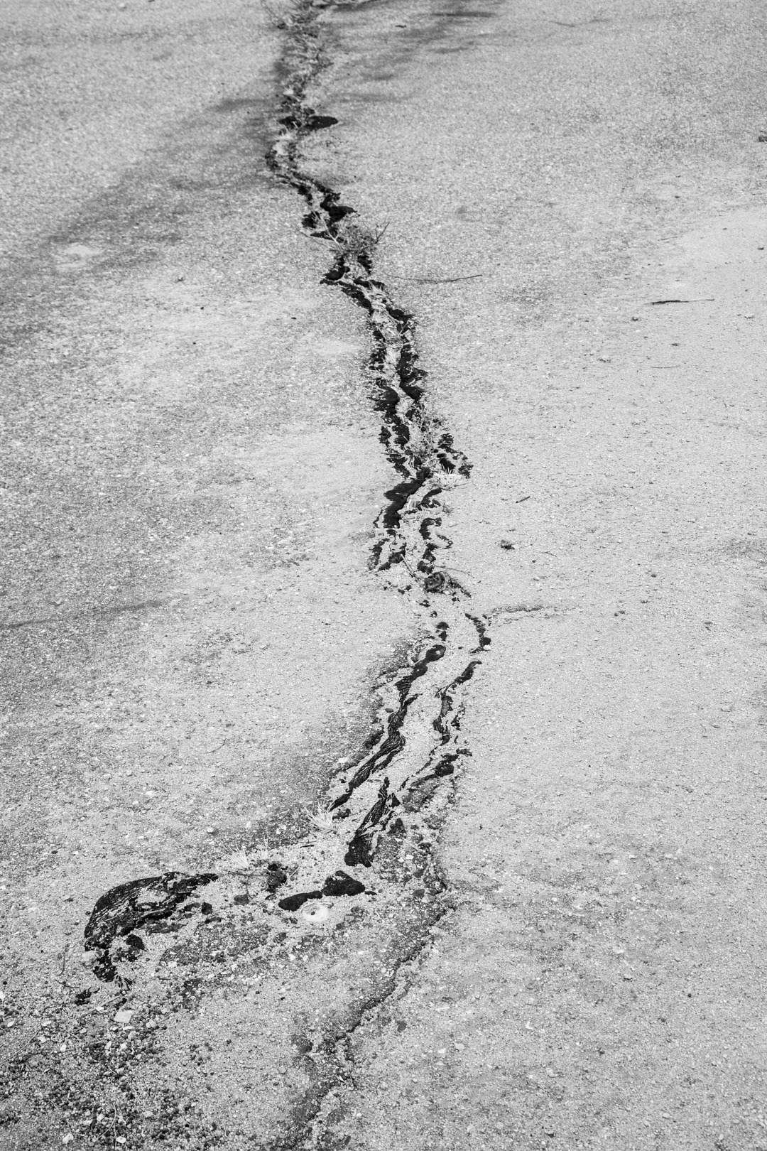 Archillect ID 335211