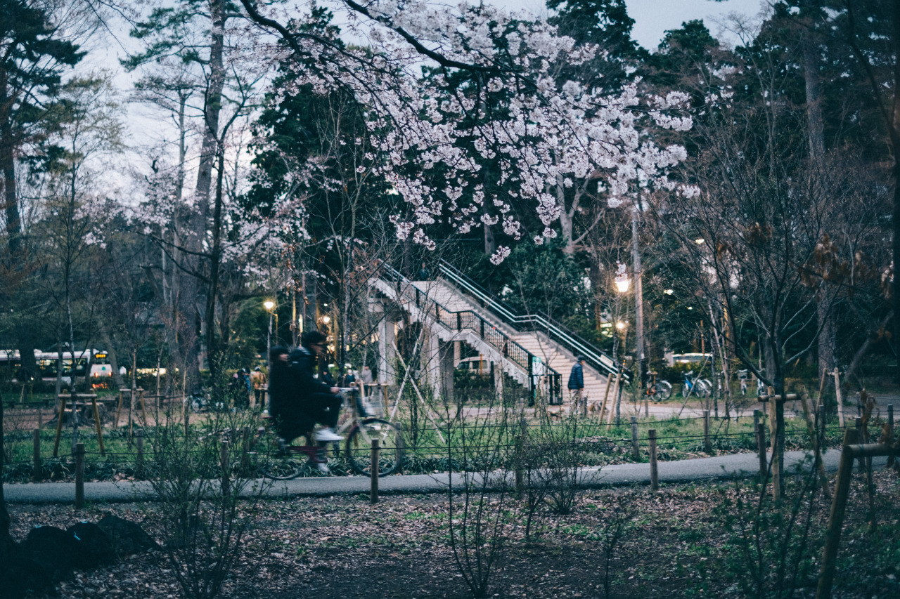 Archillect ID 335230