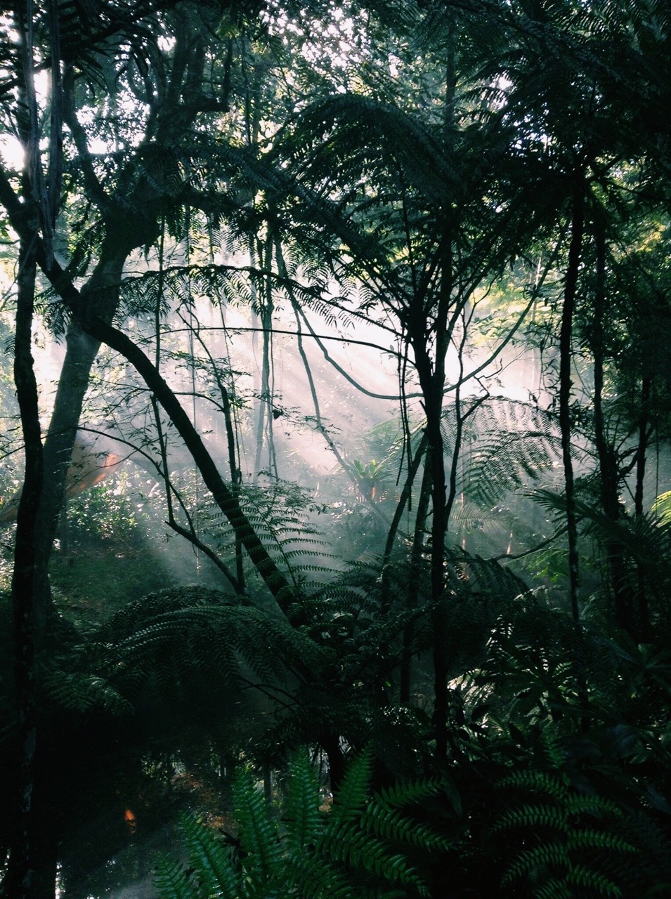 Archillect ID 335351