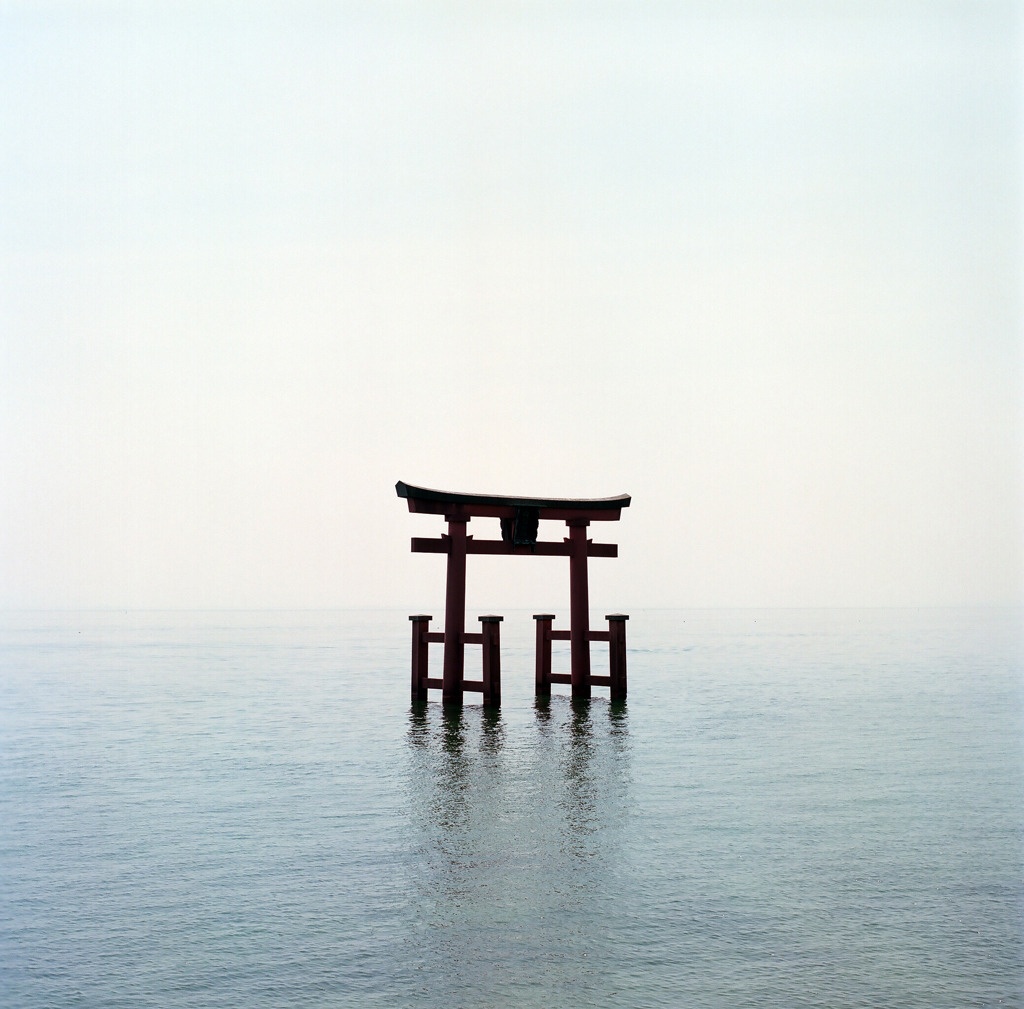 Archillect ID 335475