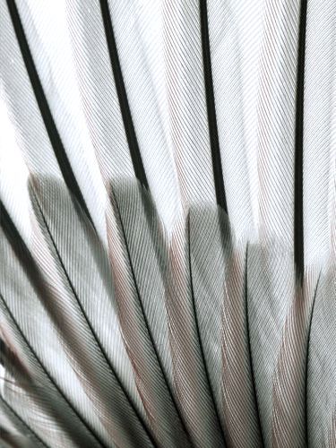 Archillect ID 335701