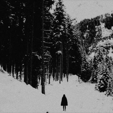 Archillect ID 335752