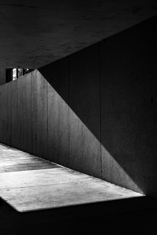Archillect ID 335790