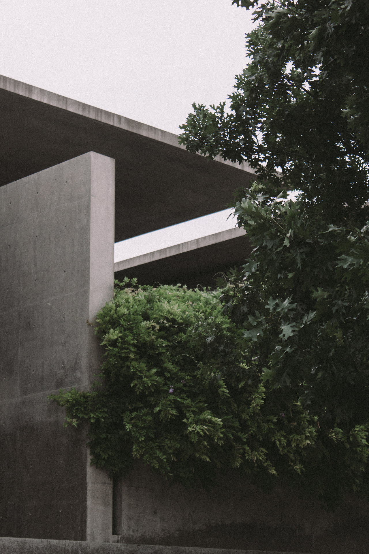 Archillect ID 335821