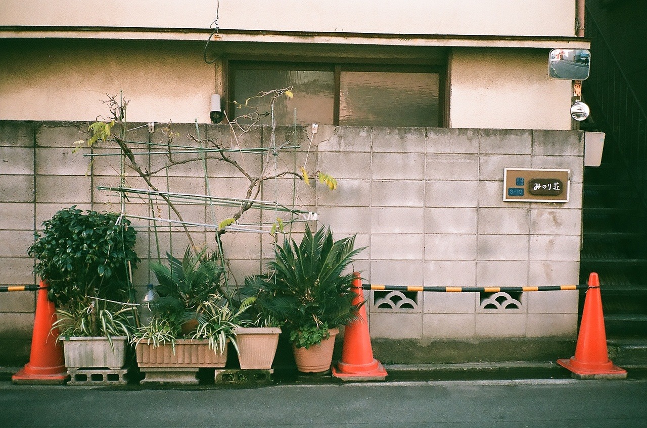 Archillect ID 336182
