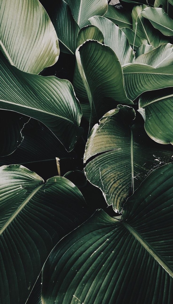Archillect ID 336184