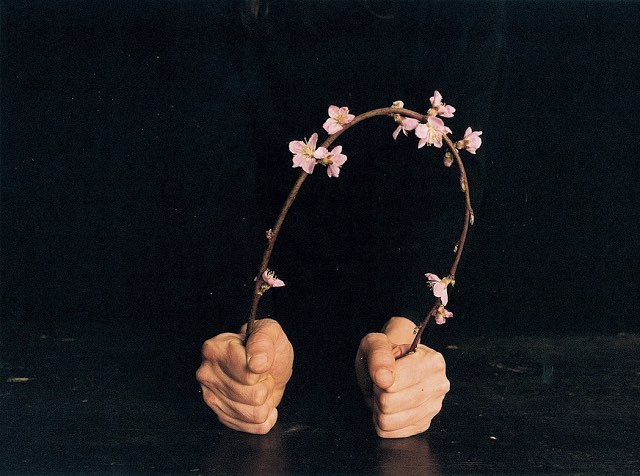 Archillect ID 336295