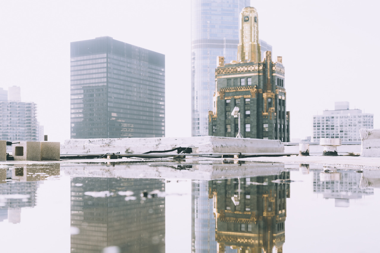 Archillect ID 336424