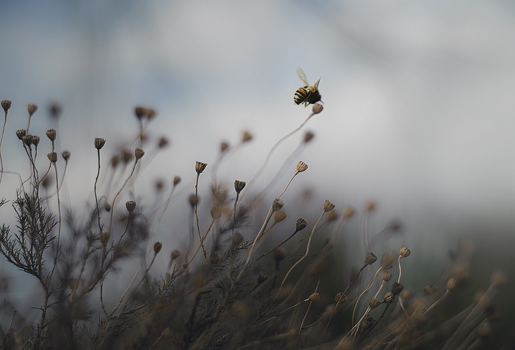 Archillect ID 336425