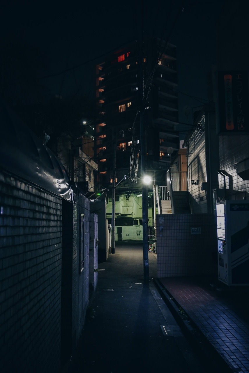 Archillect ID 336768