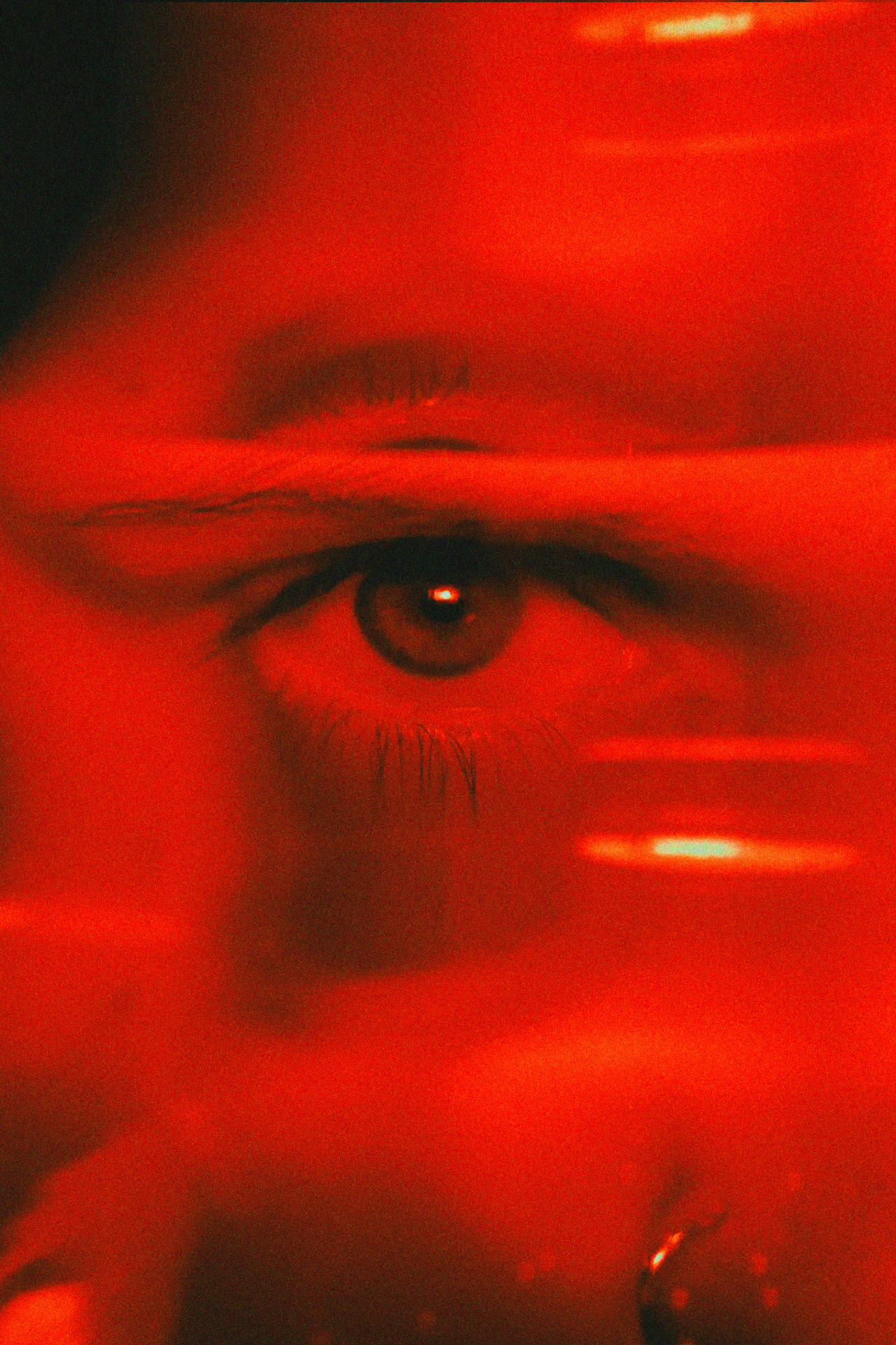 Archillect ID 336782