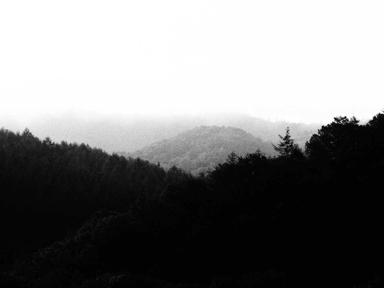 Archillect ID 336783