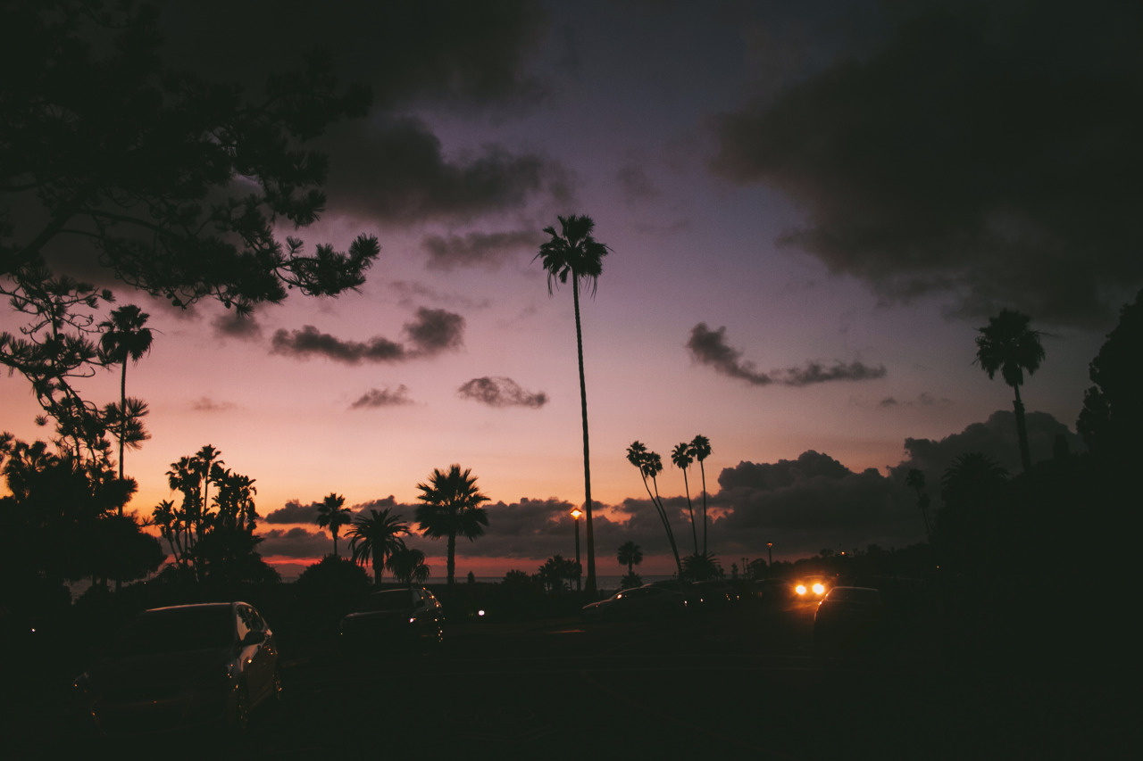 Archillect ID 336876
