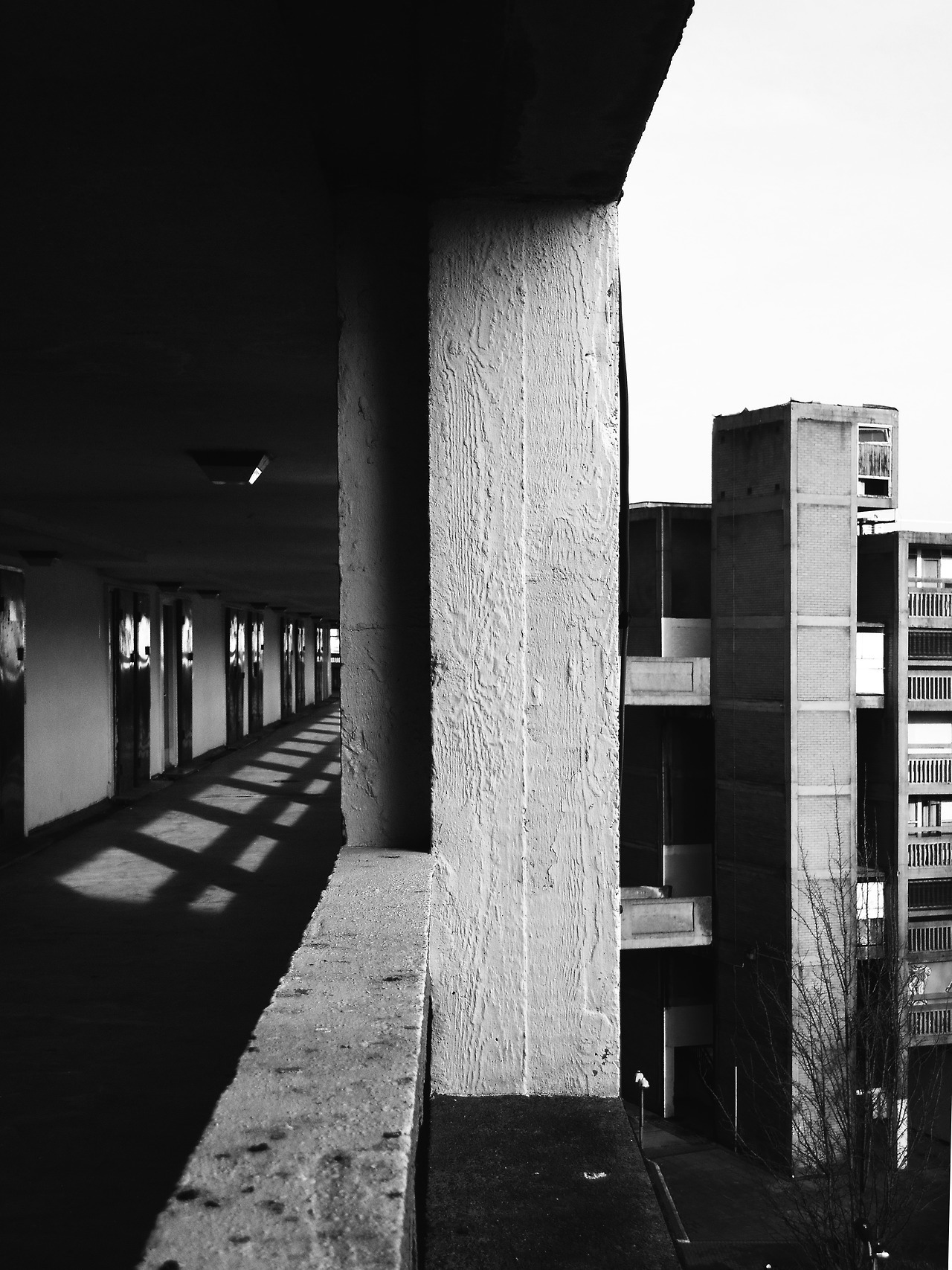 Archillect ID 336989