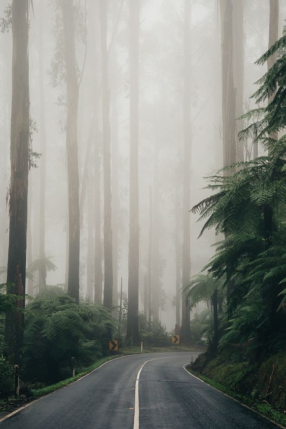 Archillect ID 337438