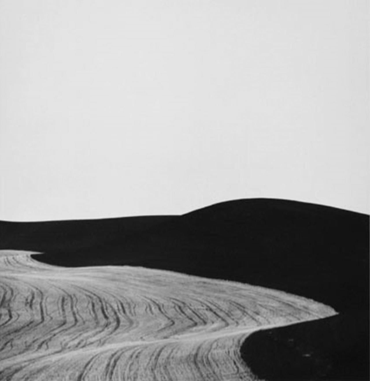 Archillect ID 337441