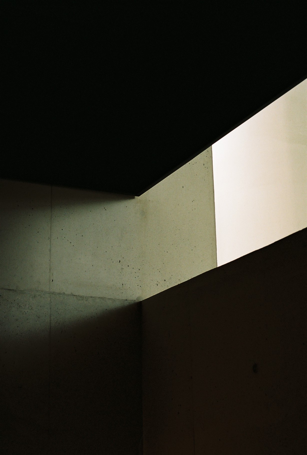 Archillect ID 338025