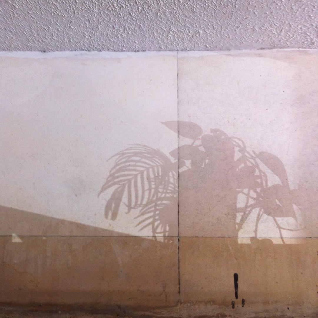 Archillect ID 338232