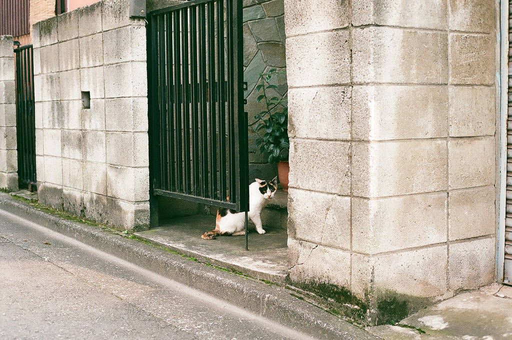Archillect ID 338258