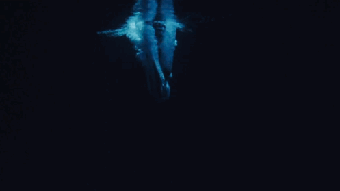 Archillect ID 338301