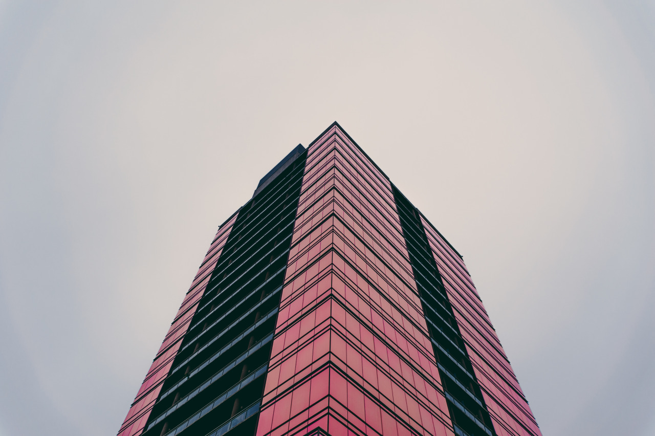 Archillect ID 338331